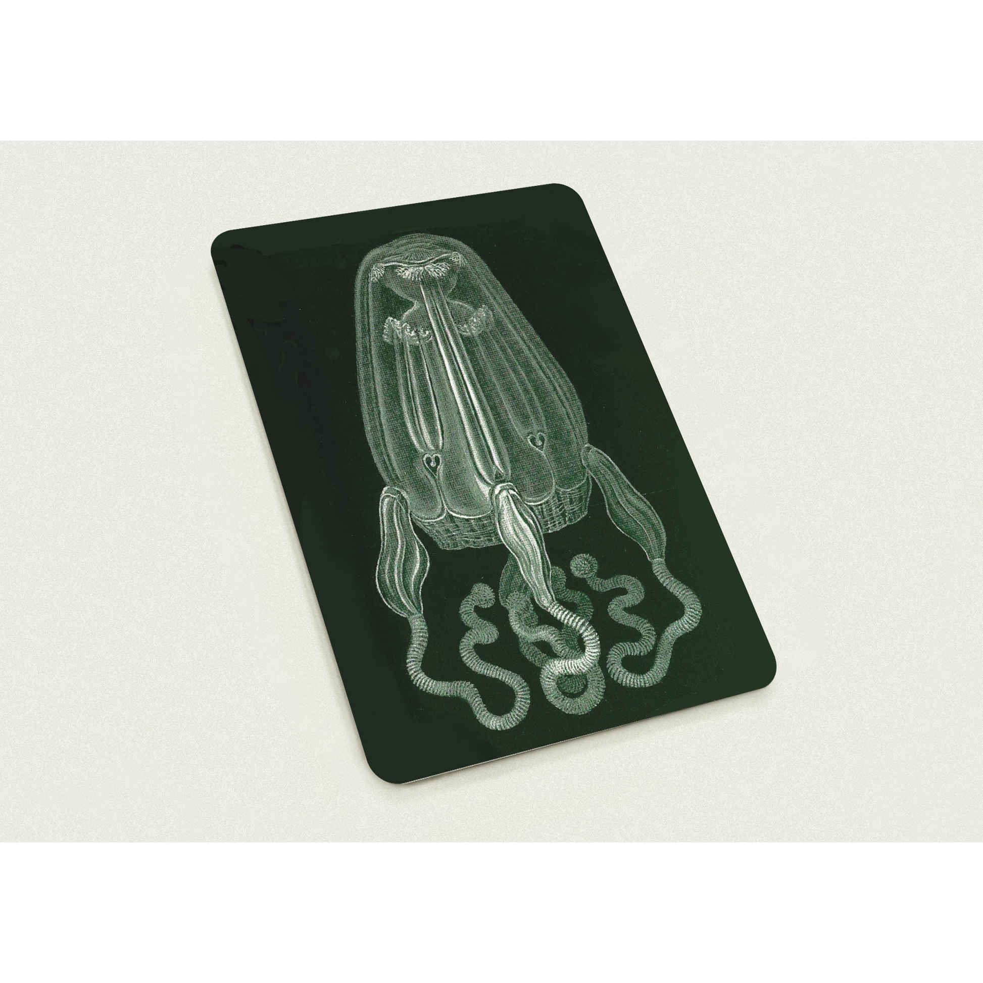 3124fd97-6bae-4bec-9458-84b153280cff