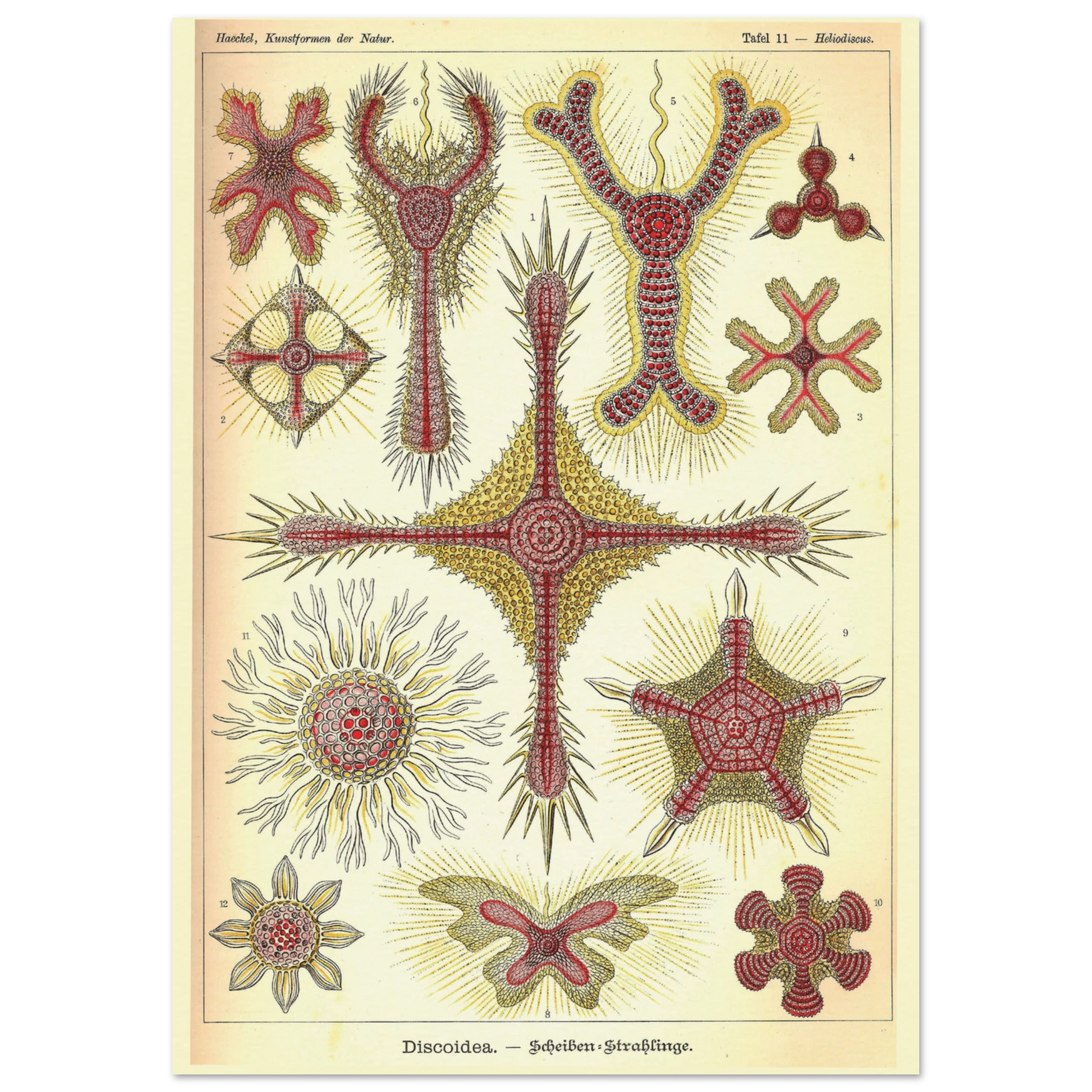 3199f351-7da5-4cce-98cf-80d8a2651ac4