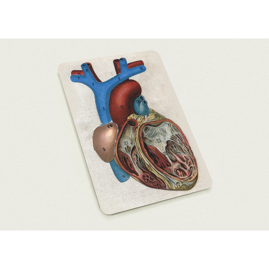 320fd47e-471f-4cf5-a5a0-8d0b5a7faf92