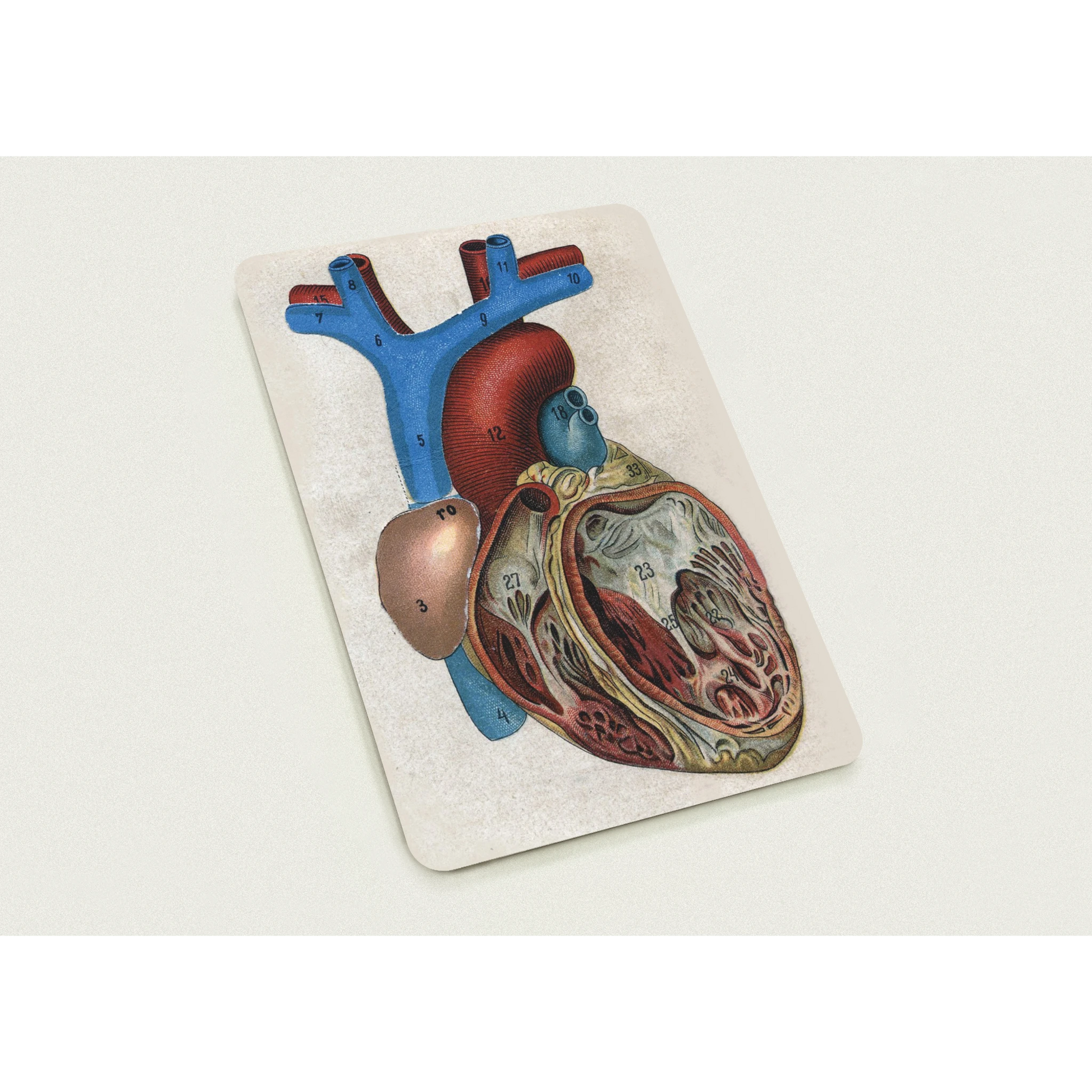 320fd47e-471f-4cf5-a5a0-8d0b5a7faf92