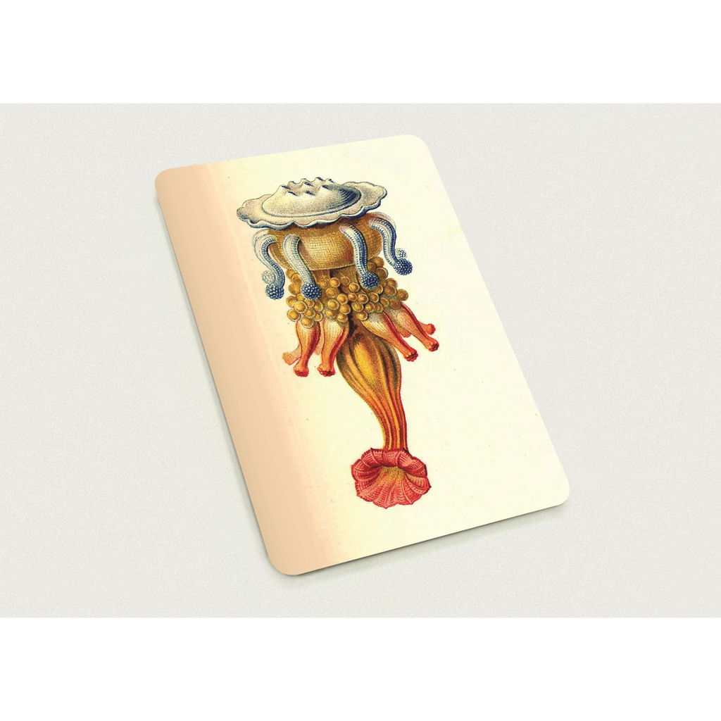 345650c6-00c8-4ba1-98c7-d68fd662fd1a