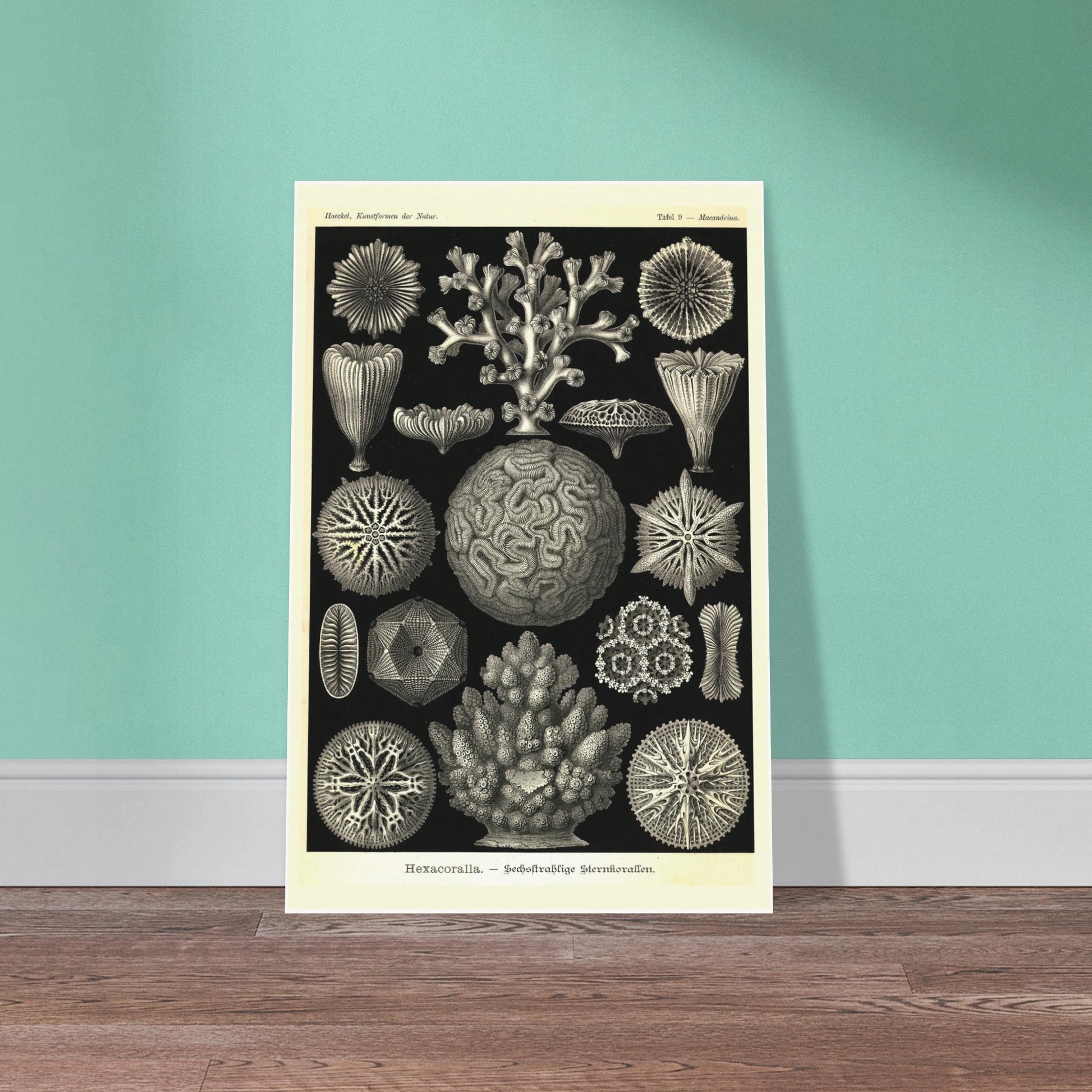 345944fc-f669-494e-9cd2-d824d63ec15f