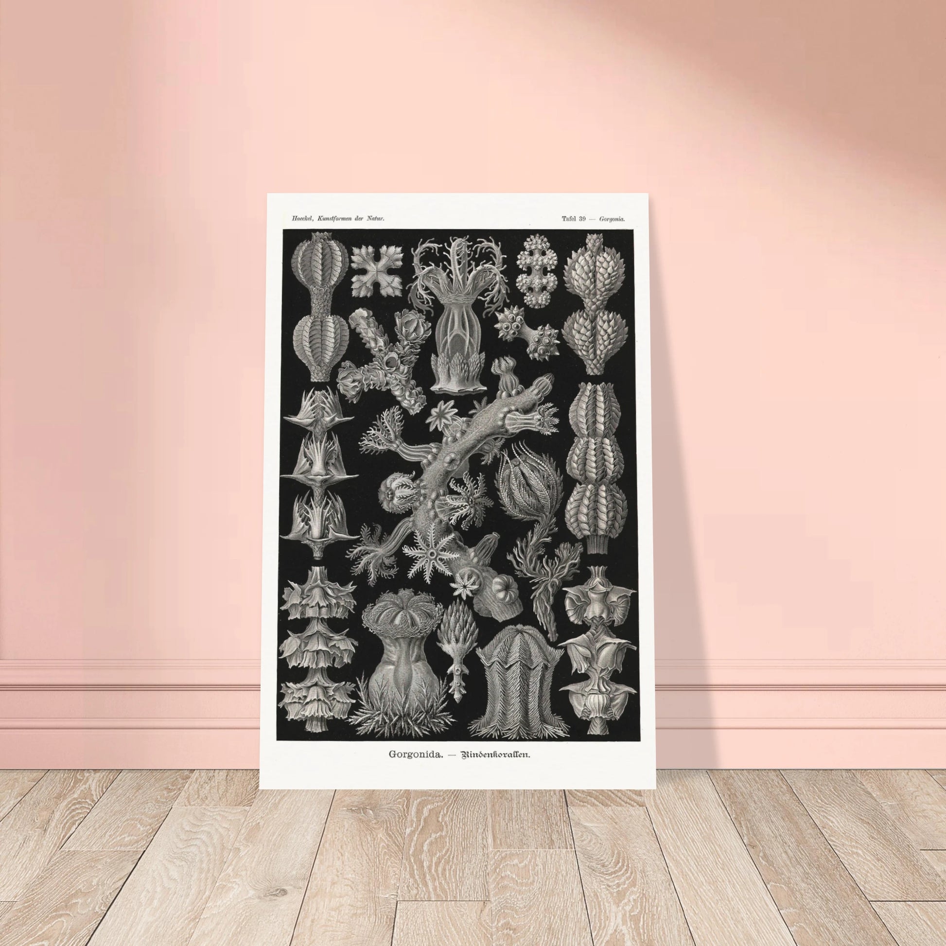 392b25f7-c156-4737-9a97-4c64aeacb32a