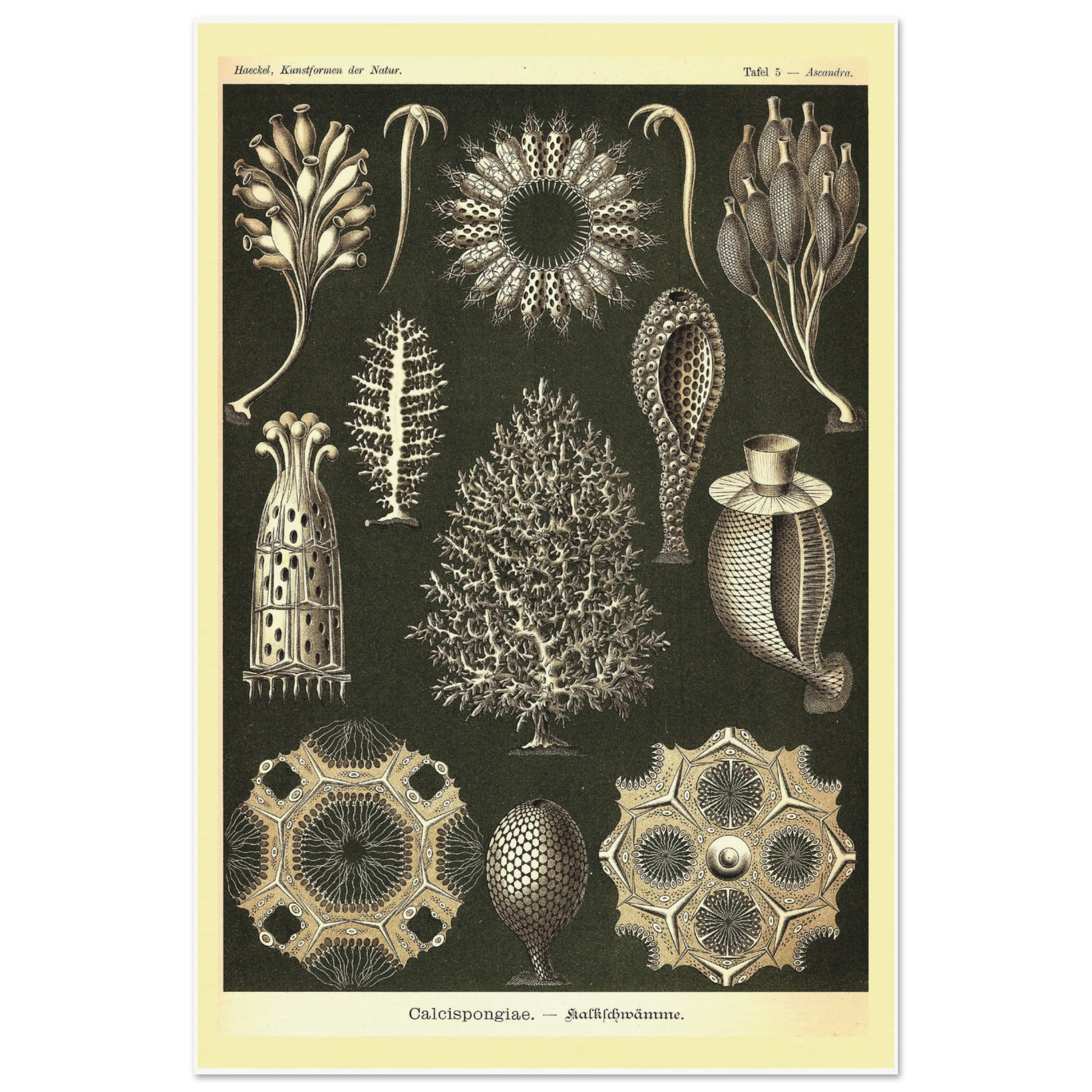 3cbeeead-c703-40ba-b7a0-a9298e98f6a3