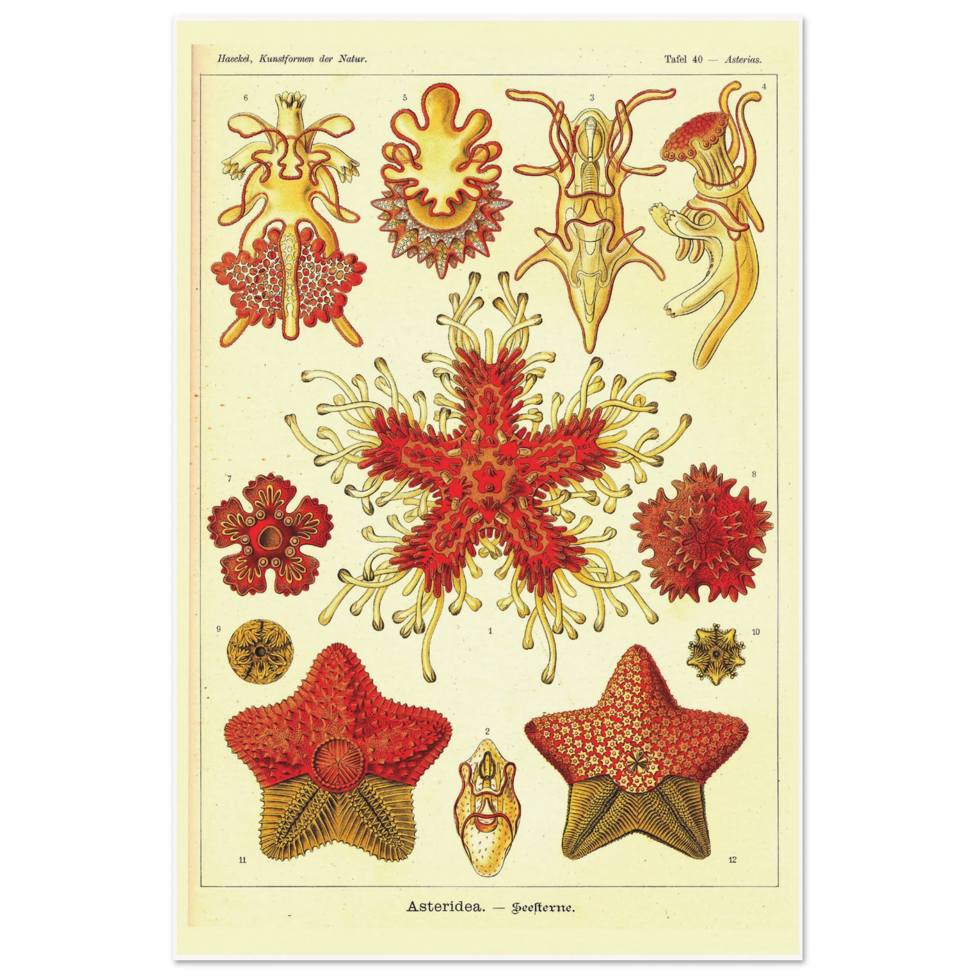 3eb56f2f-1c2d-4ac5-b496-22165a06c928