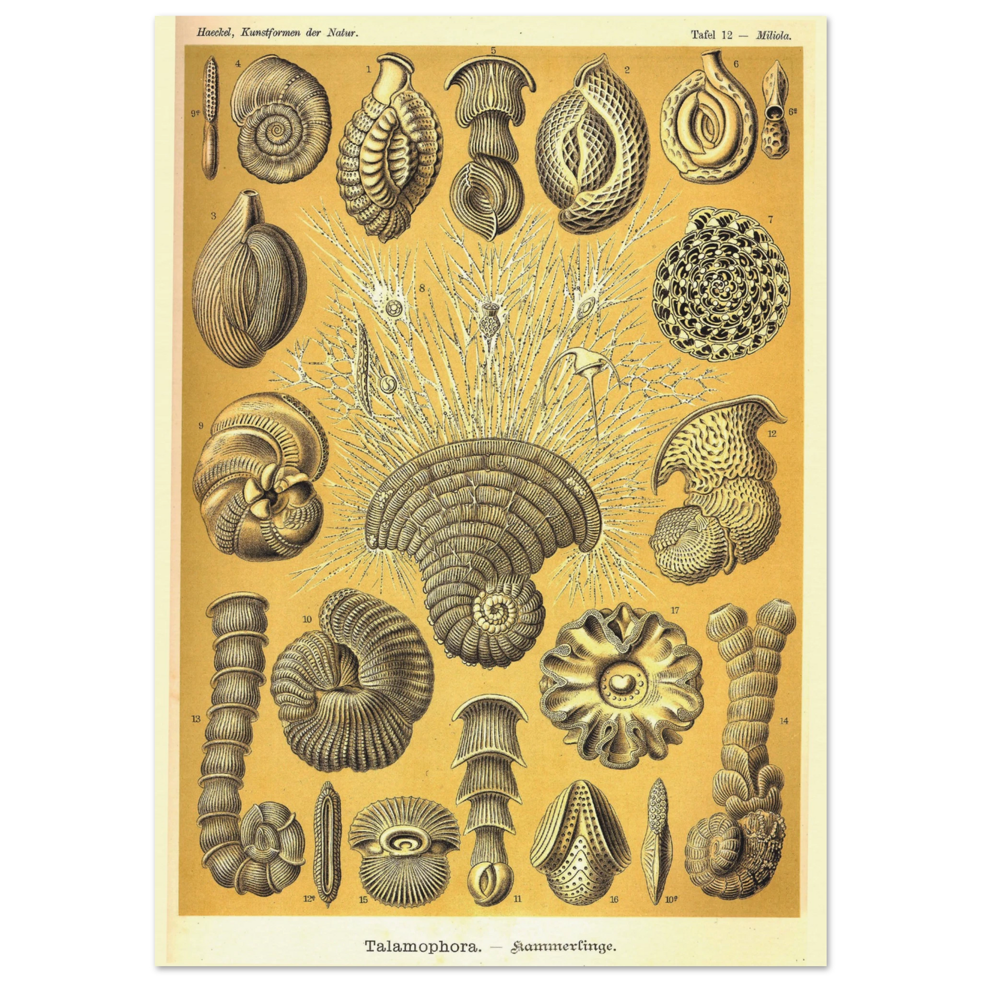 3fd71abf-1891-4e14-8f06-4e37d1486749