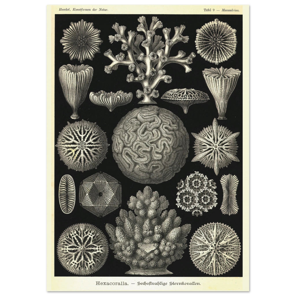 3fe223e0-e465-4300-a61d-e7d29cf29904