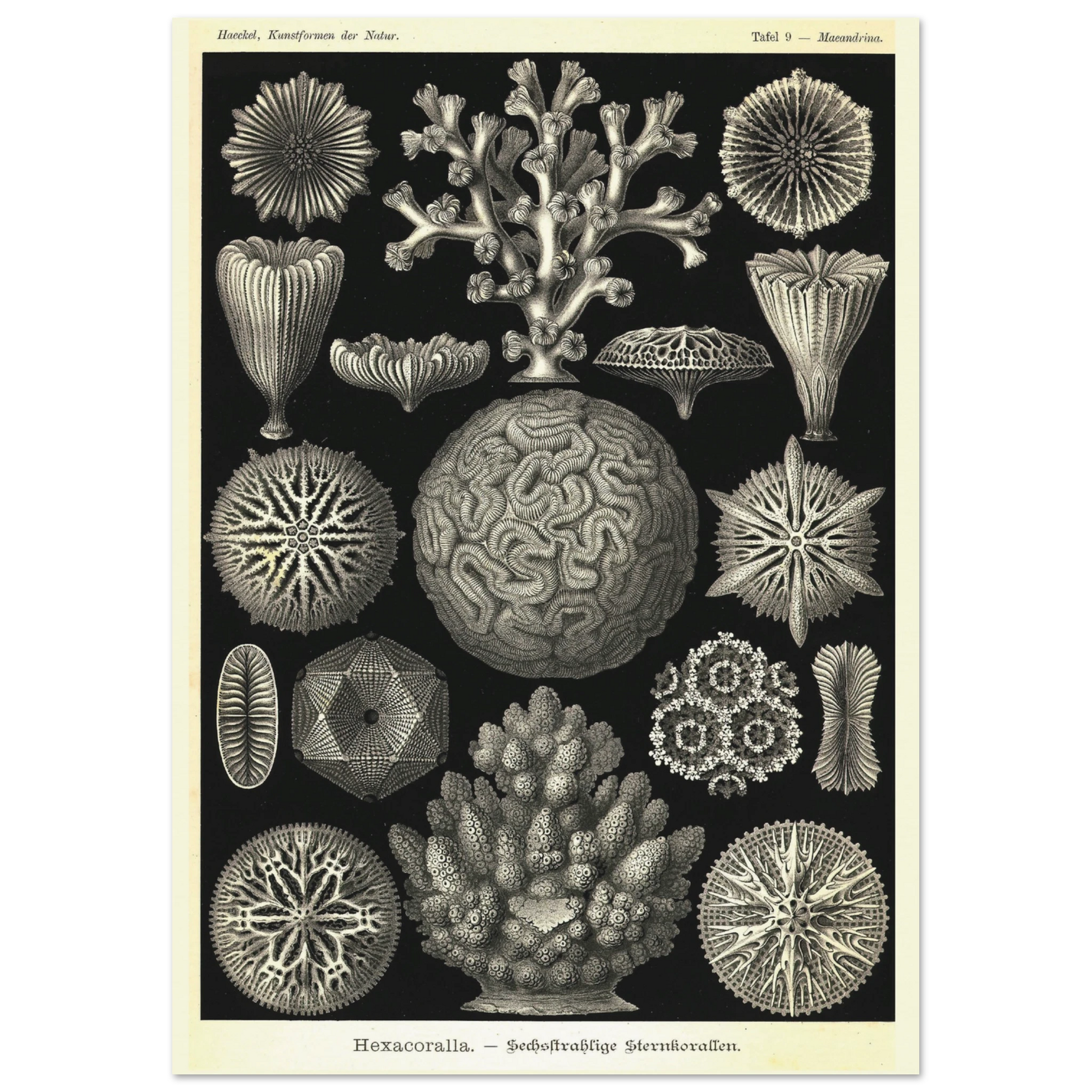 3fe223e0-e465-4300-a61d-e7d29cf29904