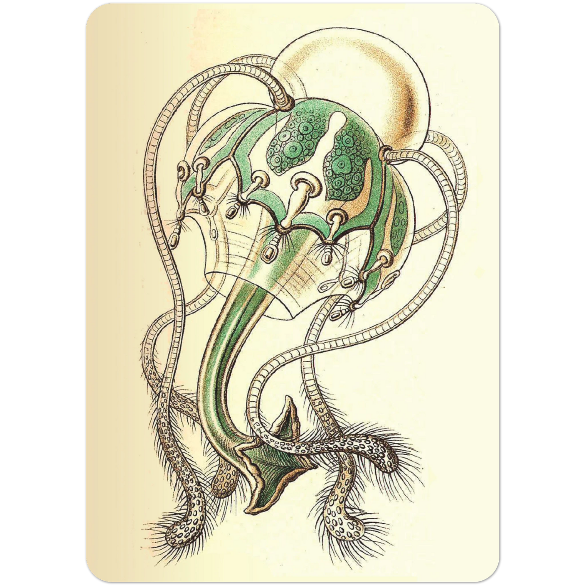 407c37b0-6907-4a13-bebe-703b37460e8b