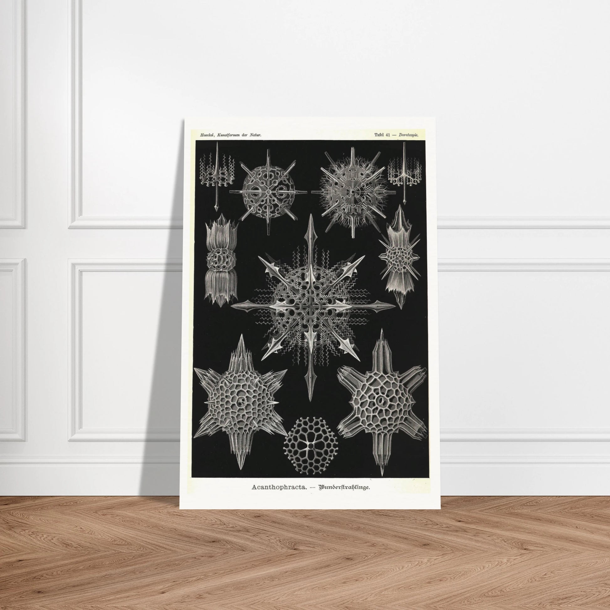 40e32c1e-daad-4941-819a-2bc66c4ddac7