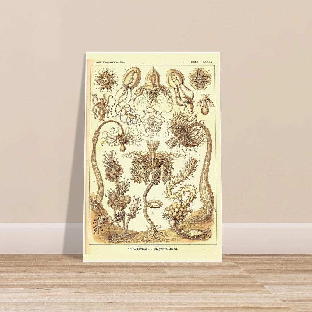 41b4c532-8f8e-4bf6-b843-aca7caf2ca9c