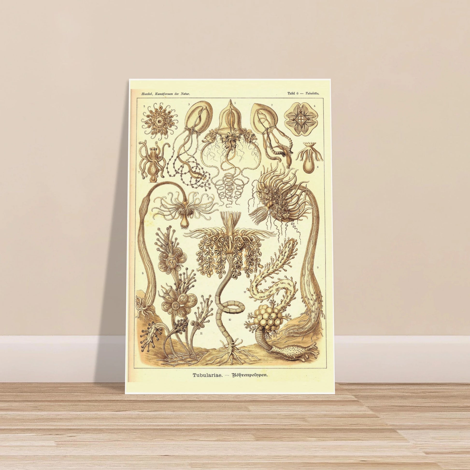 41b4c532-8f8e-4bf6-b843-aca7caf2ca9c