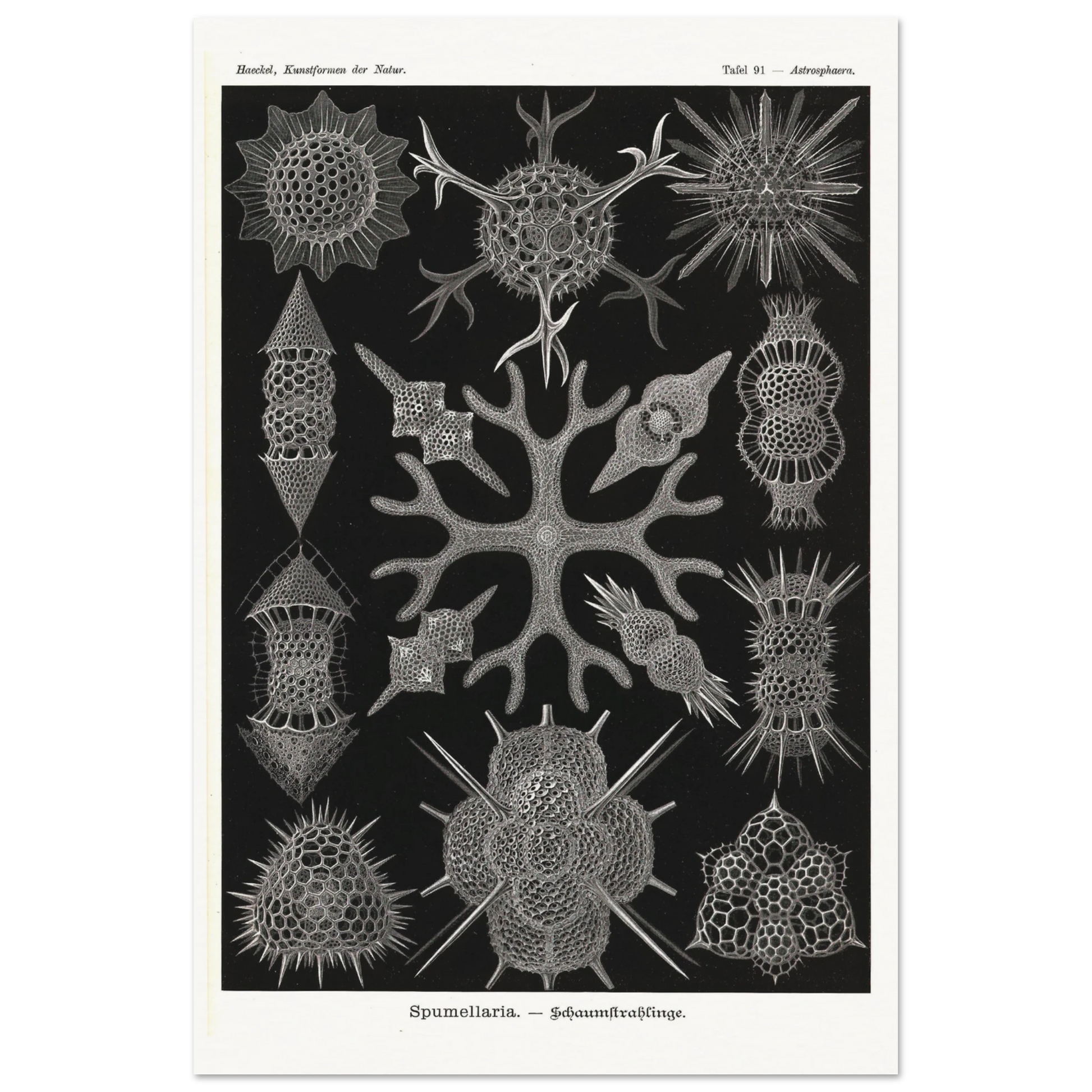 42fc2bac-6c19-4195-8953-f435aca92cb0