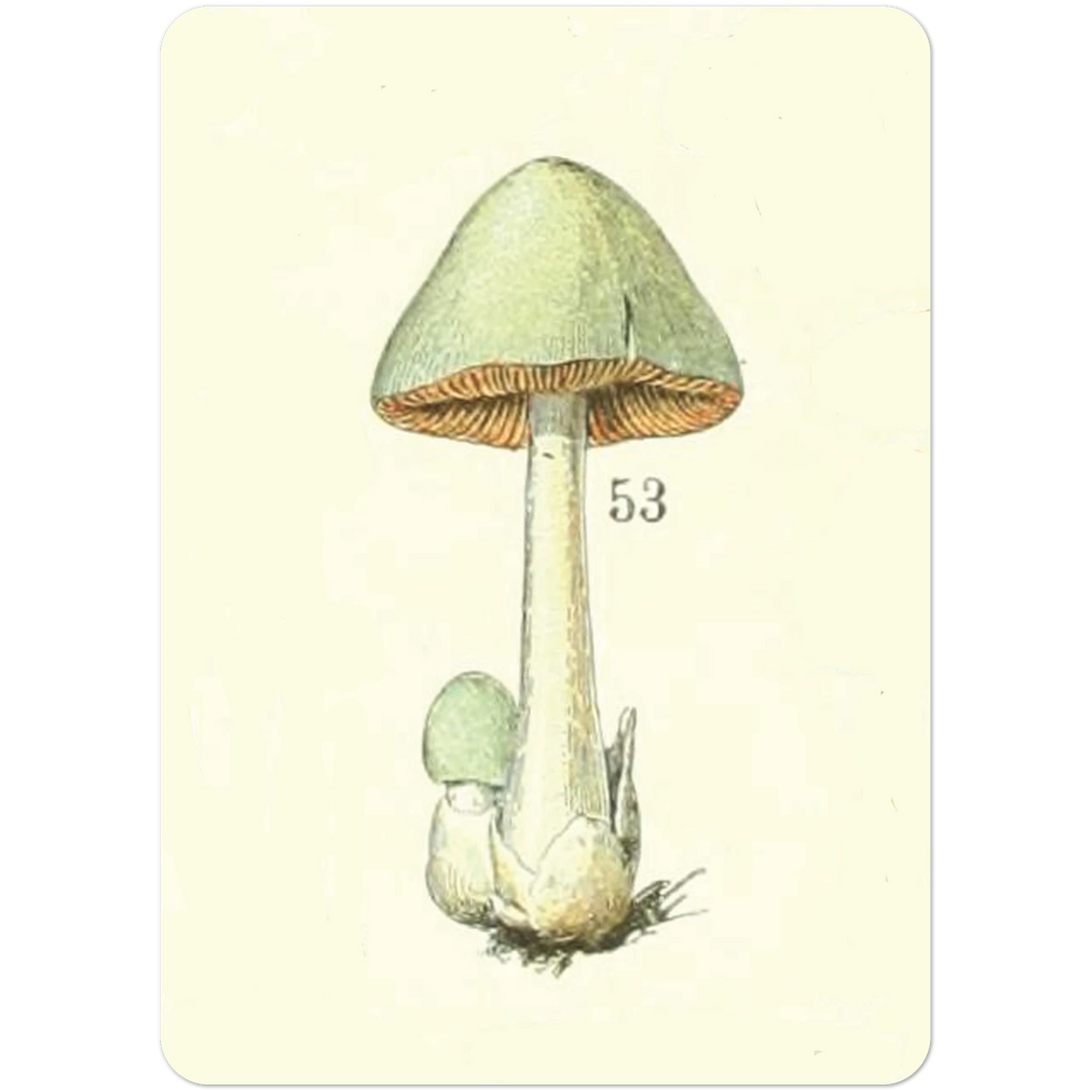 43c57e92-a81c-4729-b030-88edefb8f7e1