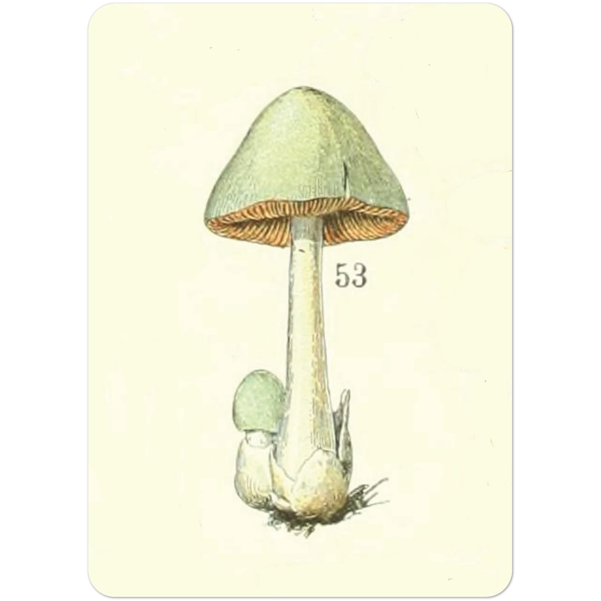 43c57e92-a81c-4729-b030-88edefb8f7e1