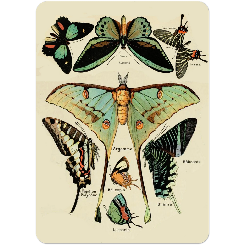 44630079-3ecf-404d-91e8-4ac13ac95297