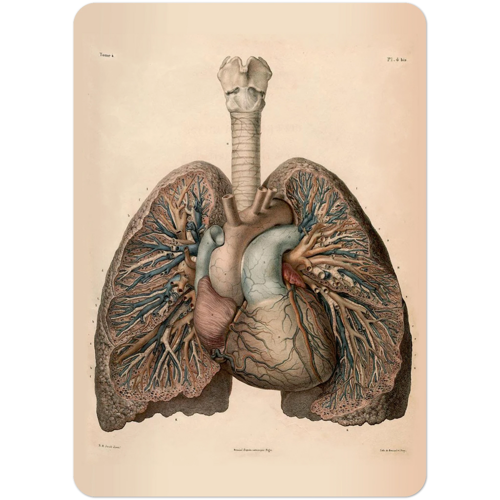 46b7a6d3-41a9-4dcb-ad9d-208e5f237b91