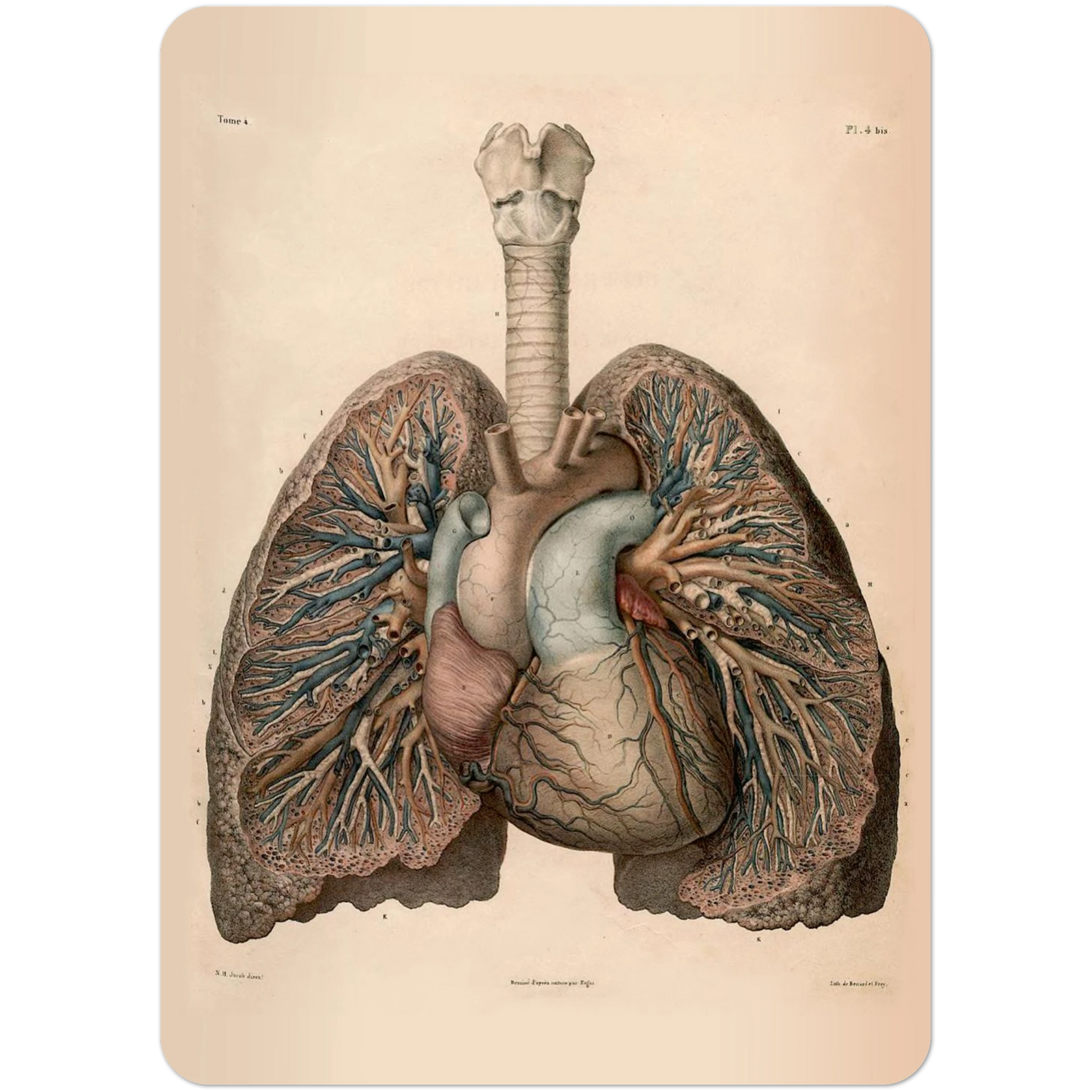 46b7a6d3-41a9-4dcb-ad9d-208e5f237b91