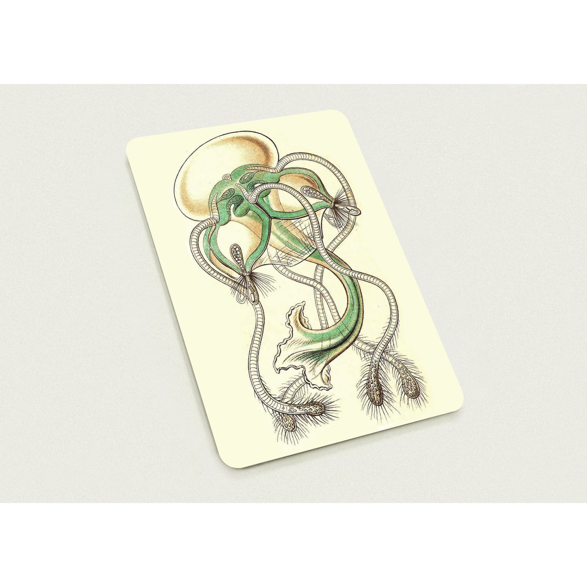 486bc9f0-c9df-4699-8ed4-128b52e2c043