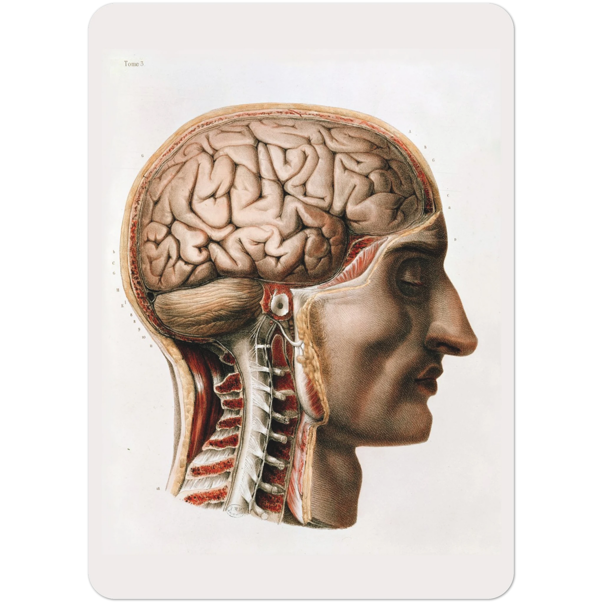 4c81a8ea-d5ed-450e-80ca-6e6e728070bf