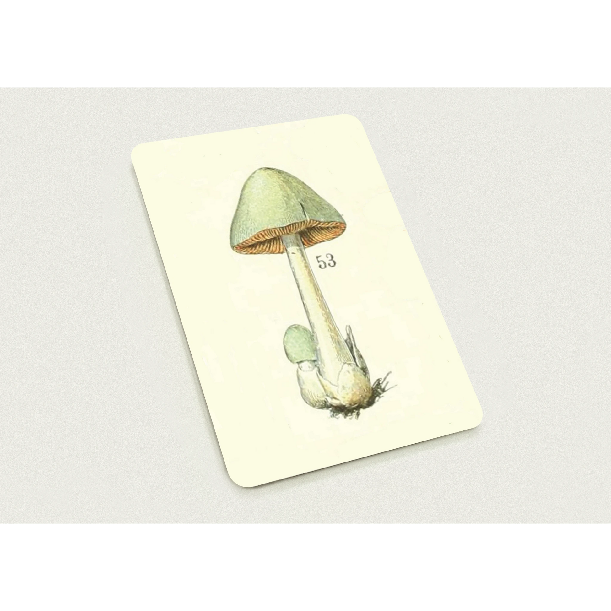 4dd0a353-ee4c-4d9f-8fad-bcb534867fb6