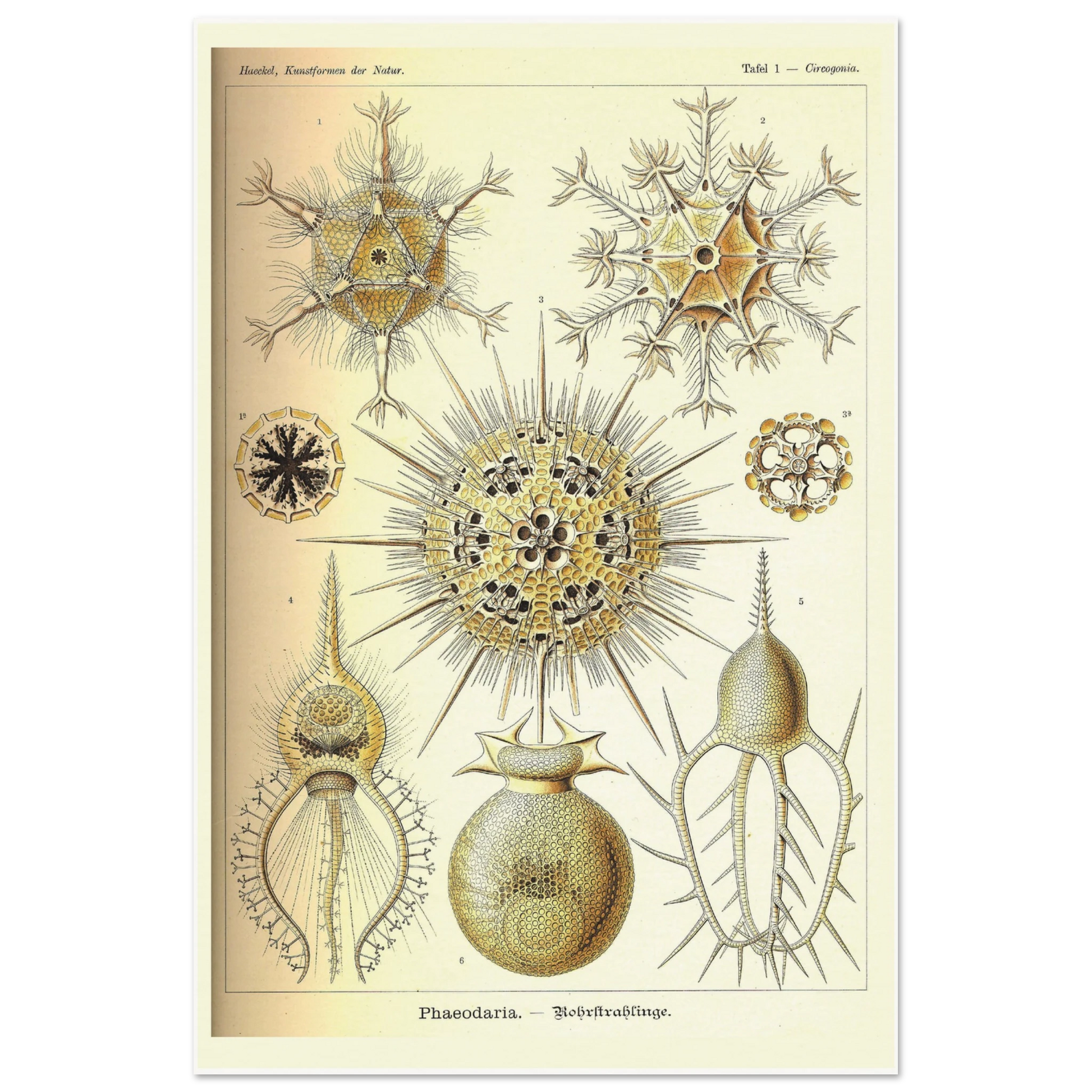 4e4f6ca9-d4e0-4f1b-903f-a5e9077bed36