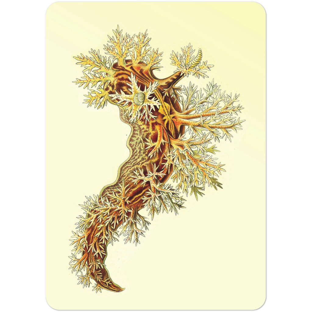 4febad9a-5686-4598-b948-5f320eec5468