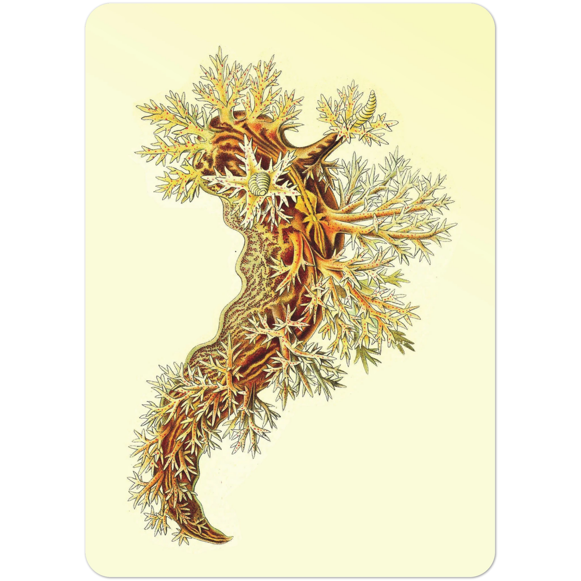 4febad9a-5686-4598-b948-5f320eec5468