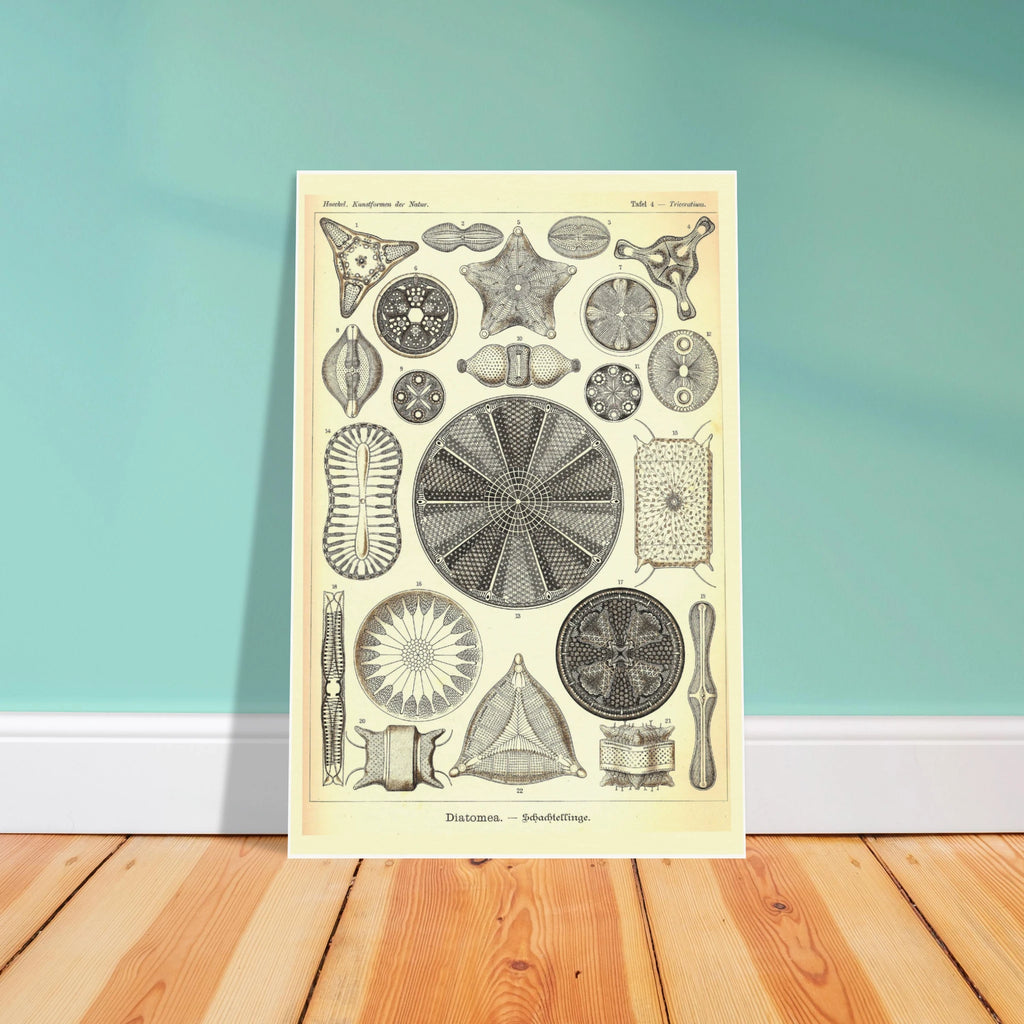 5180046d-de93-415c-a4aa-038133a5a65b