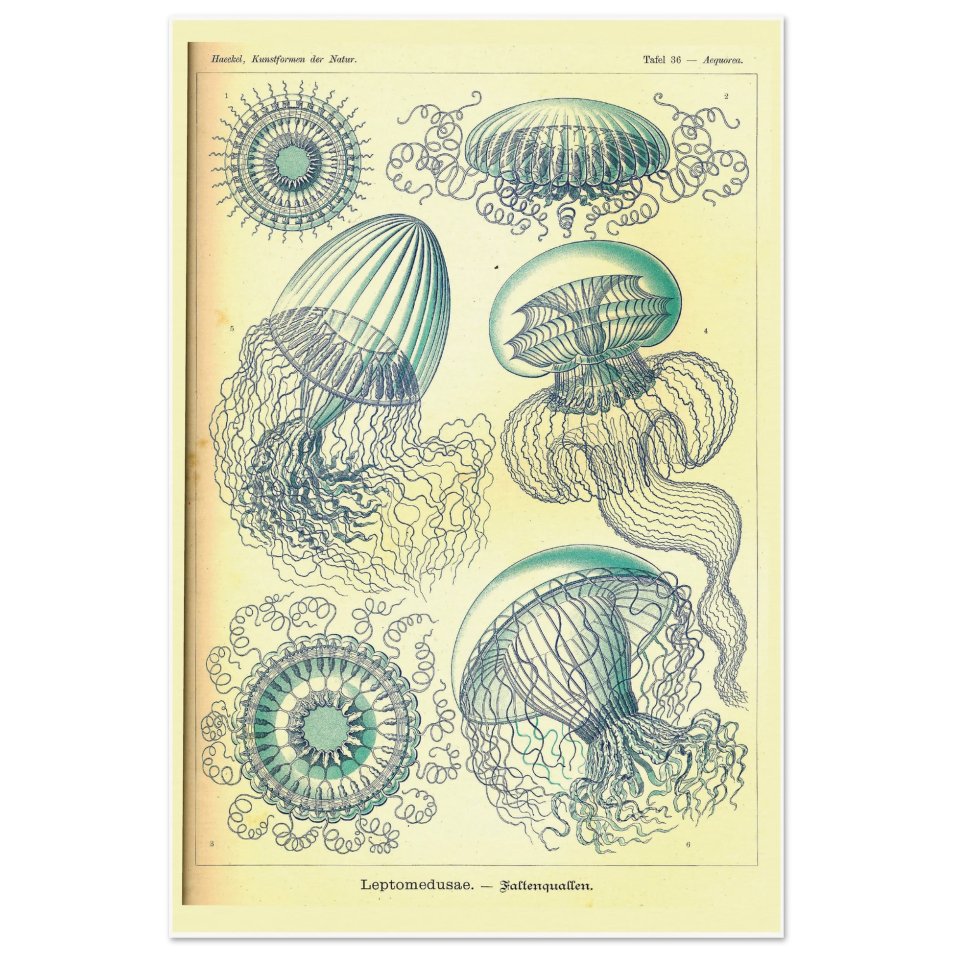 56fc35d0-4ab7-45d5-a18a-c4901a0bf528