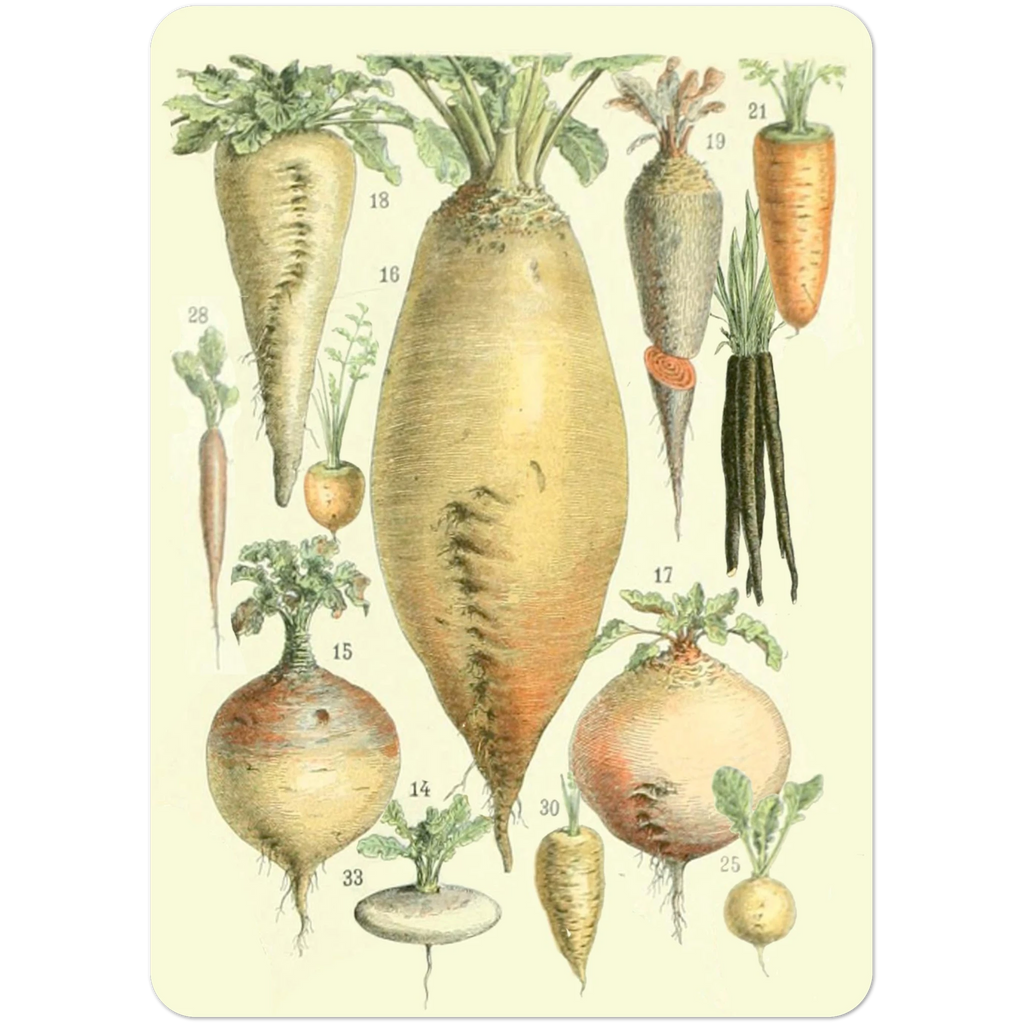 5742dfd6-31ef-4b6d-8eba-63a368caafa9