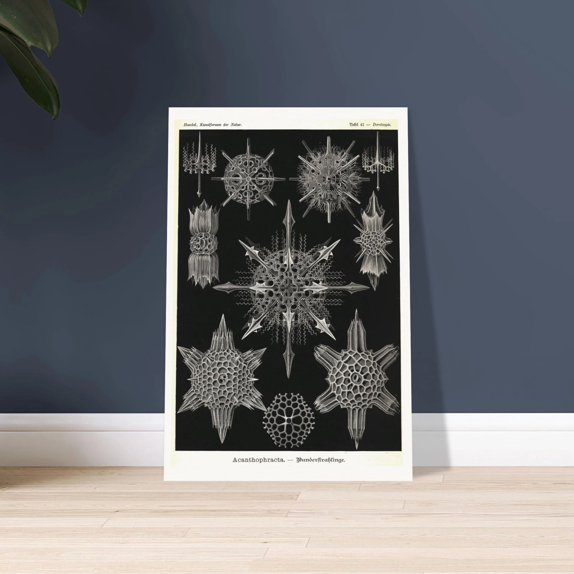 575ba566-511a-4963-8e0a-008f1ca28f49