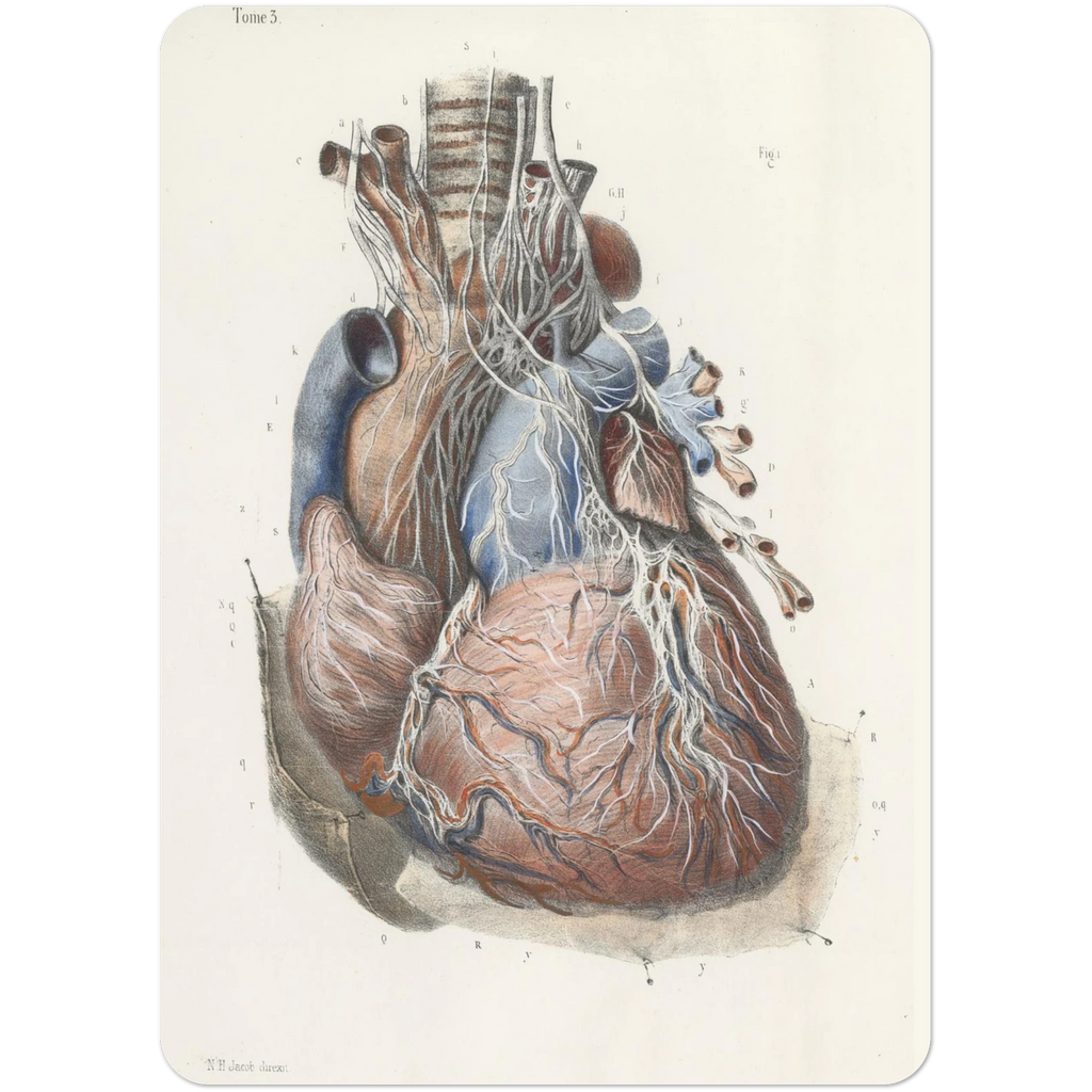 579229a9-7426-419d-952a-24bbdc408c01