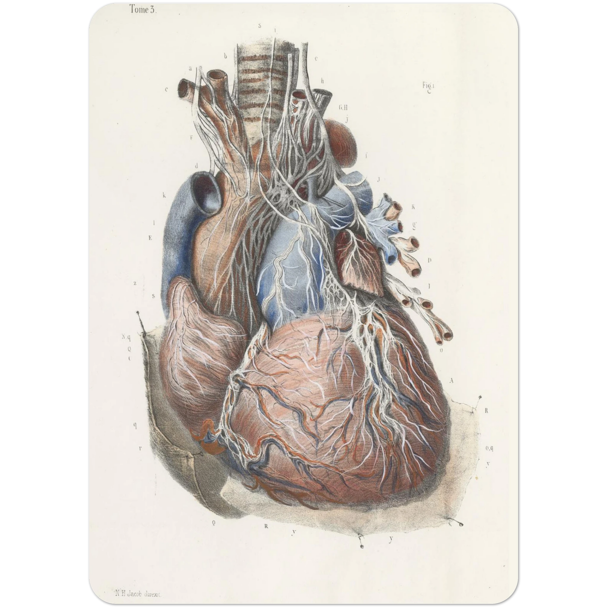 579229a9-7426-419d-952a-24bbdc408c01