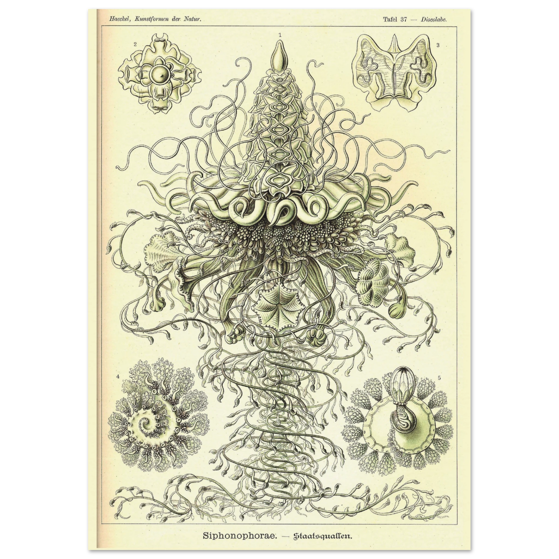 57e75d85-d2c3-4aa3-aea1-492ac4fb0893