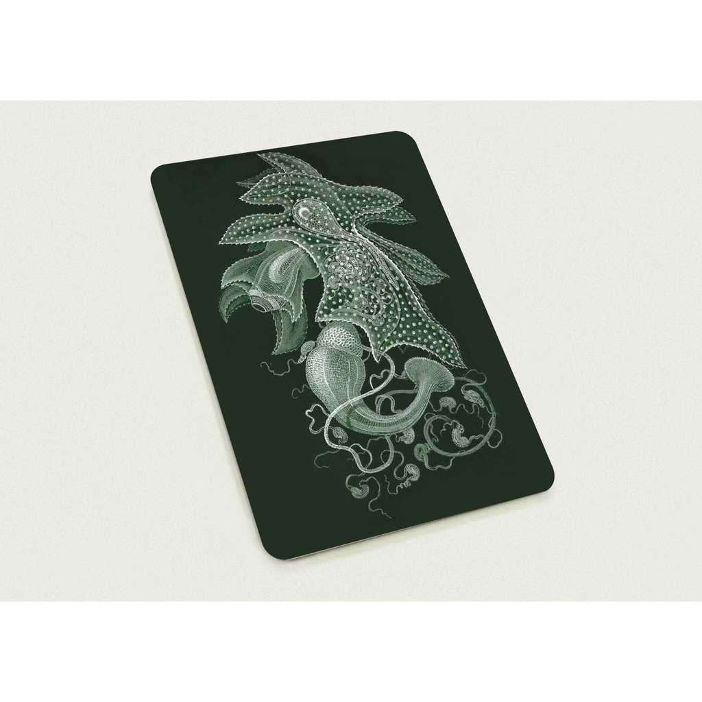 5b3ffc9a-55c7-4947-b90c-5975d2c1c0c8