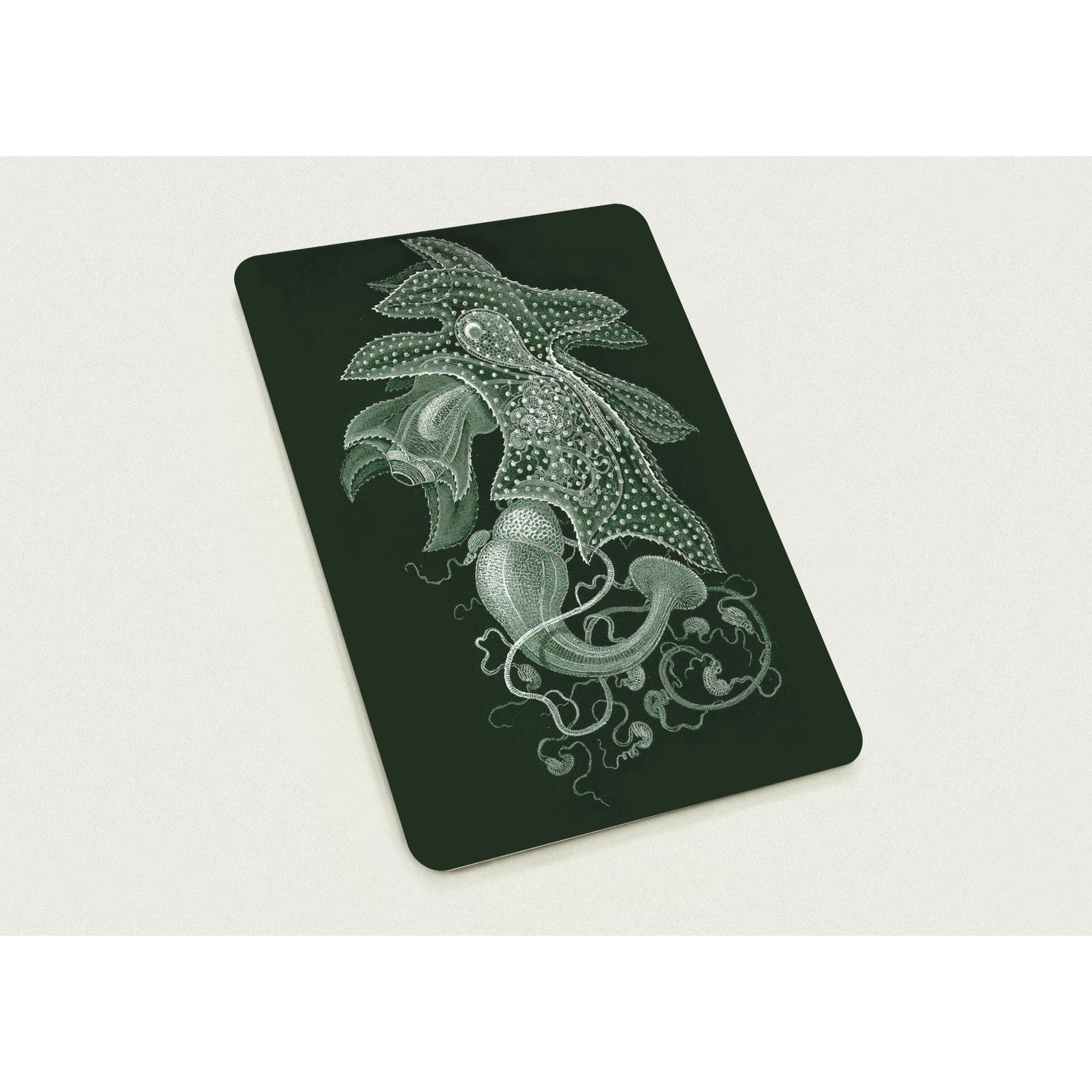 5b3ffc9a-55c7-4947-b90c-5975d2c1c0c8