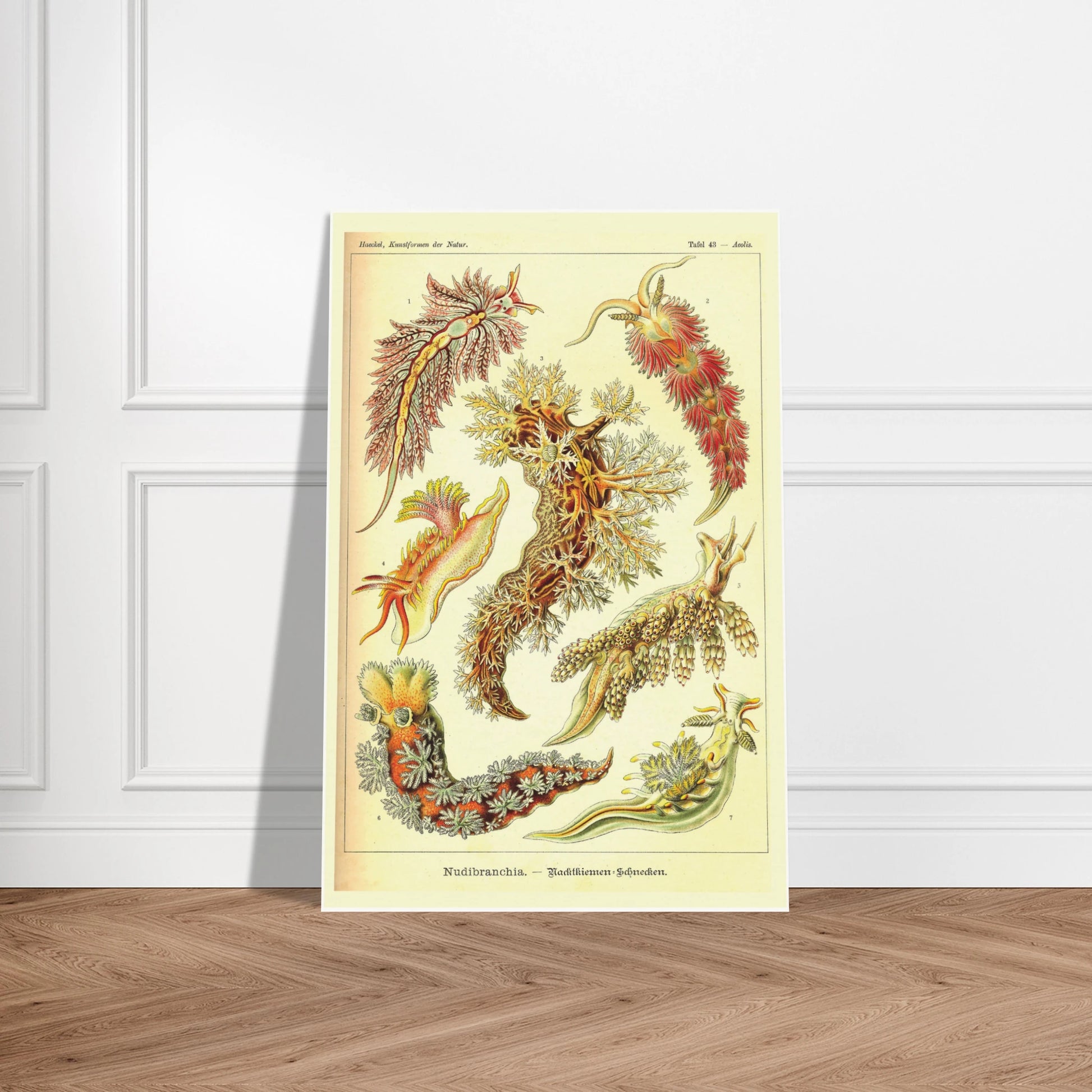 5d951088-fe45-49d6-9e6a-590c4dd4f686