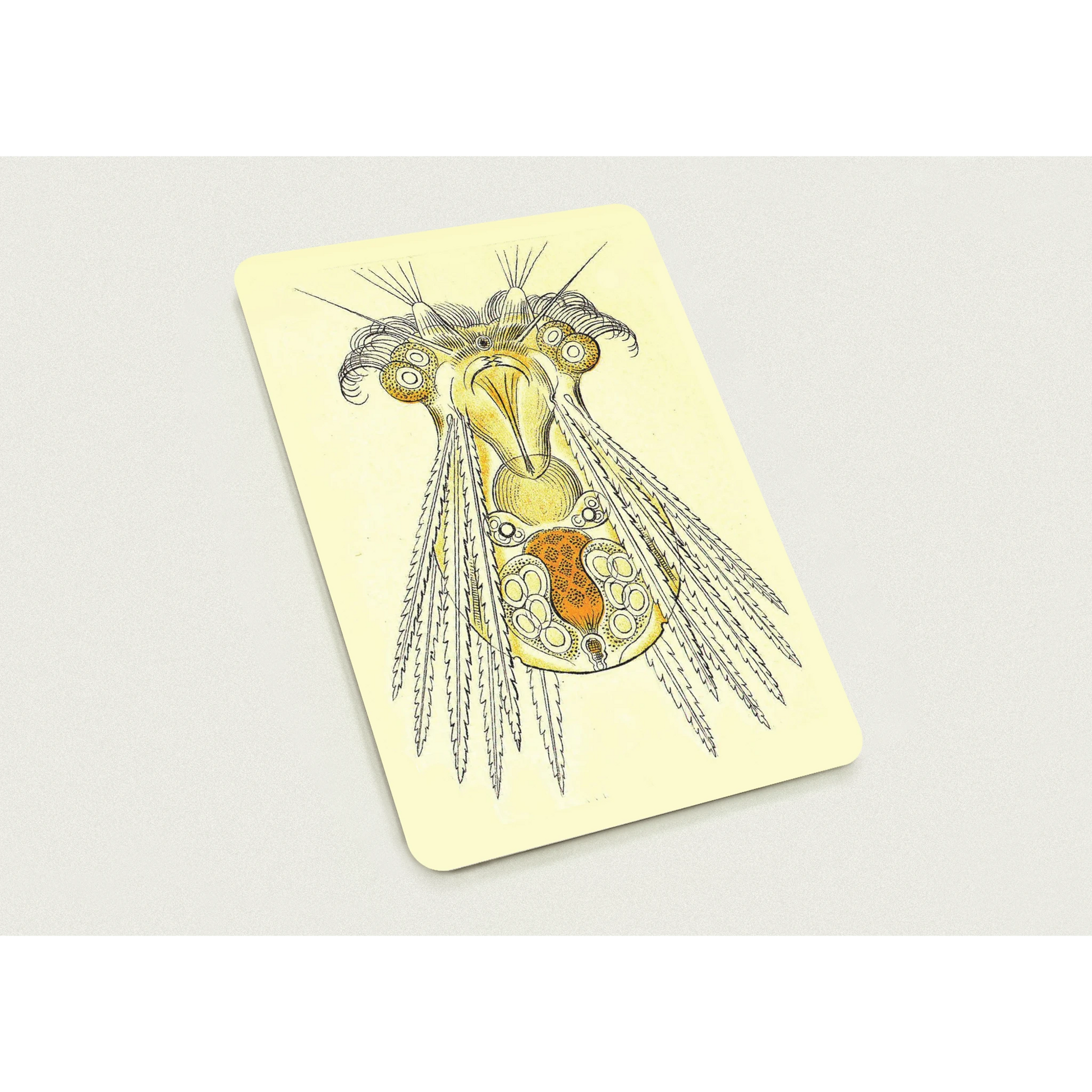 61f77a10-3bf9-4c76-bc0c-15cde89ff97f