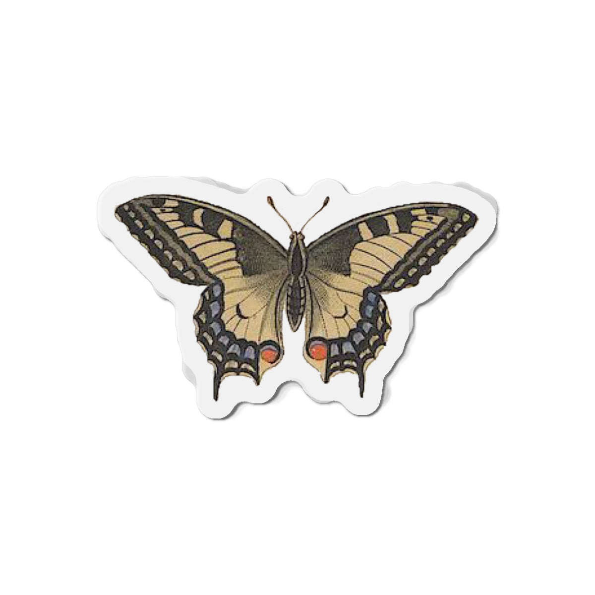 Swallowtail Butterfly magnet (1843)