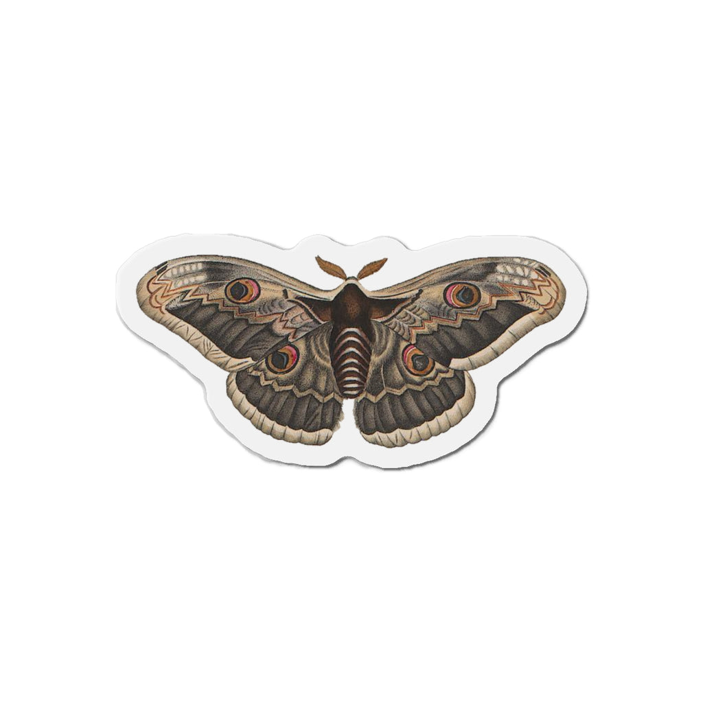 Peacock Moth magnet (1843)