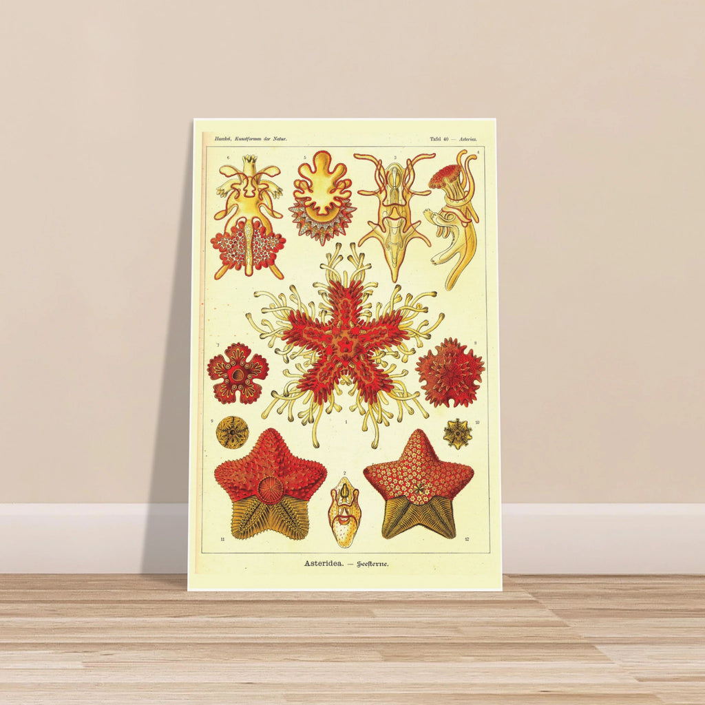 65fd5e67-f00e-4f35-a417-8568d9738060