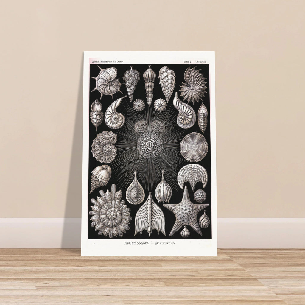 66b3d850-585c-4555-999b-47e4797c482d