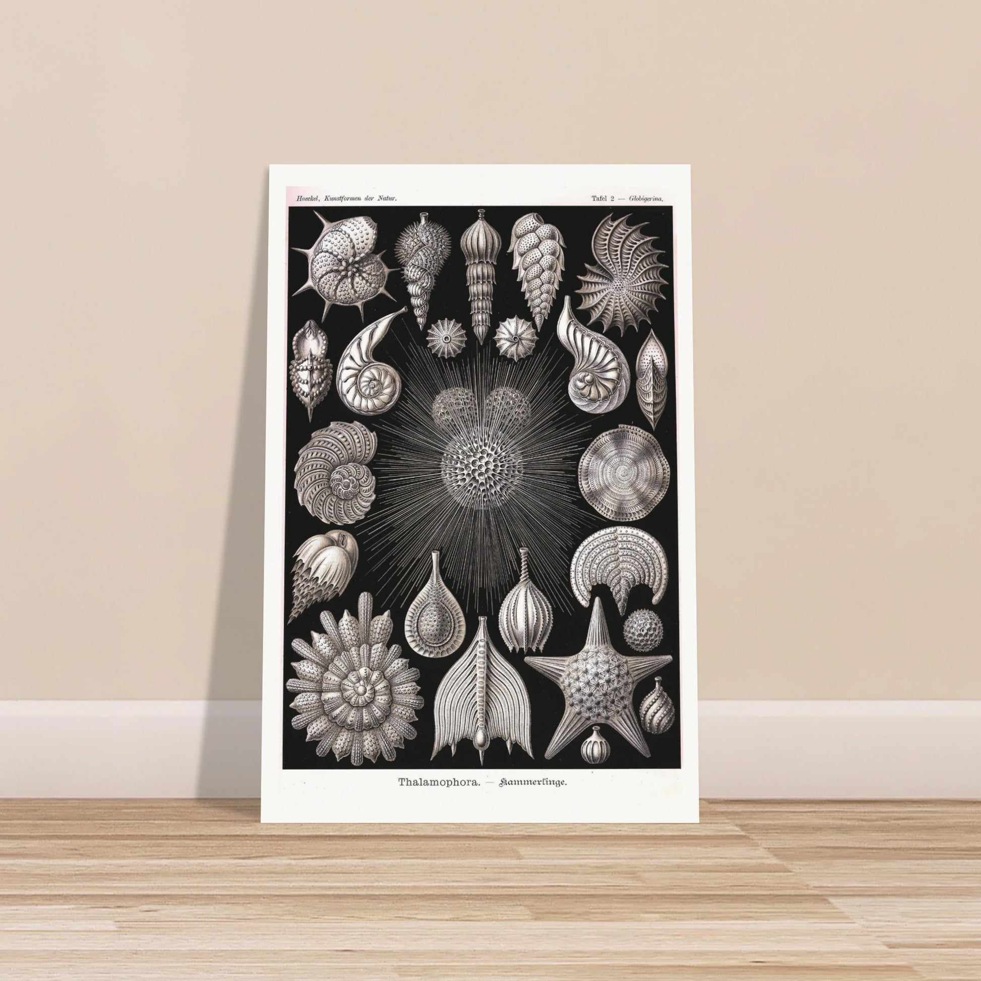 66b3d850-585c-4555-999b-47e4797c482d