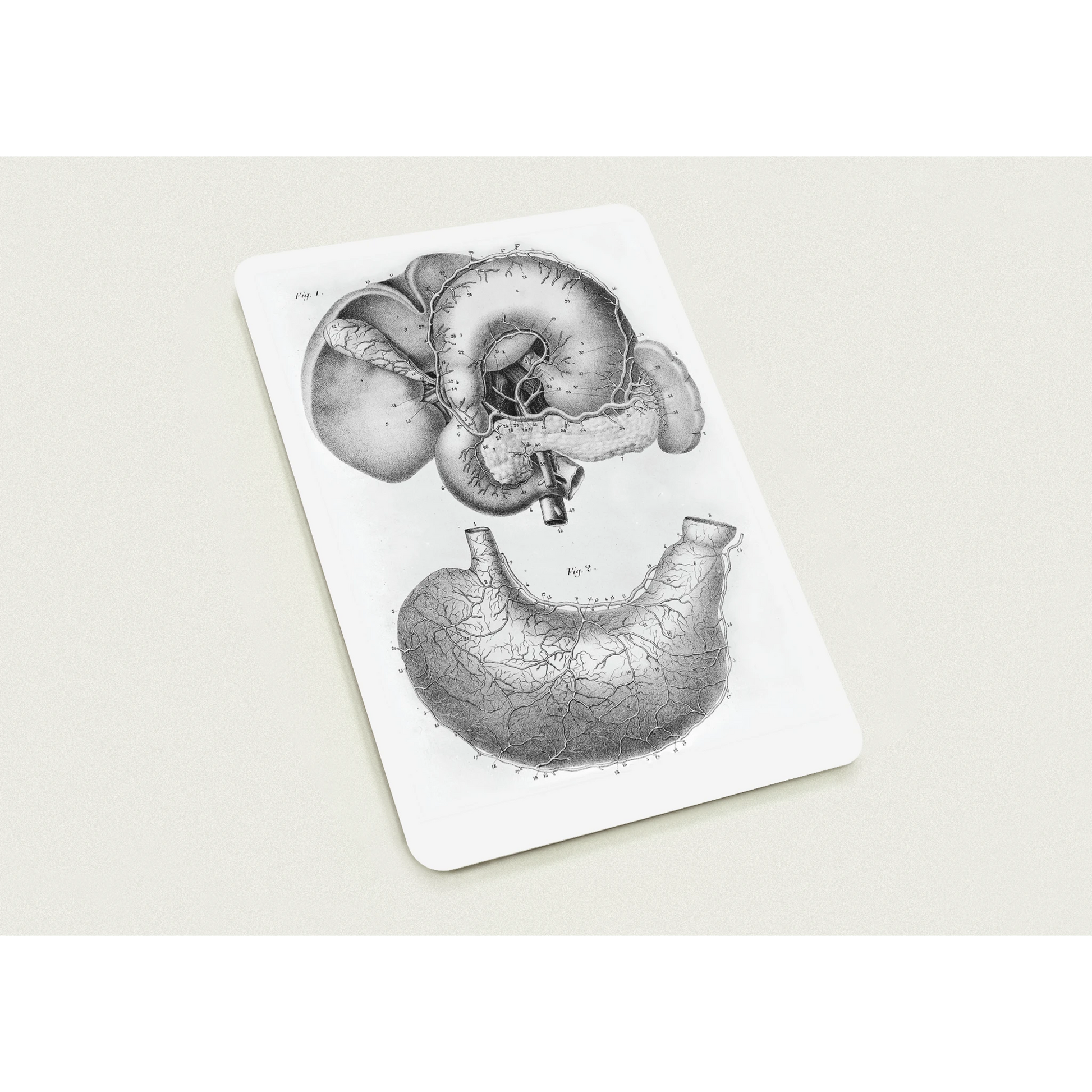 6a03102a-4a7e-4d83-ab87-f40f74349a56