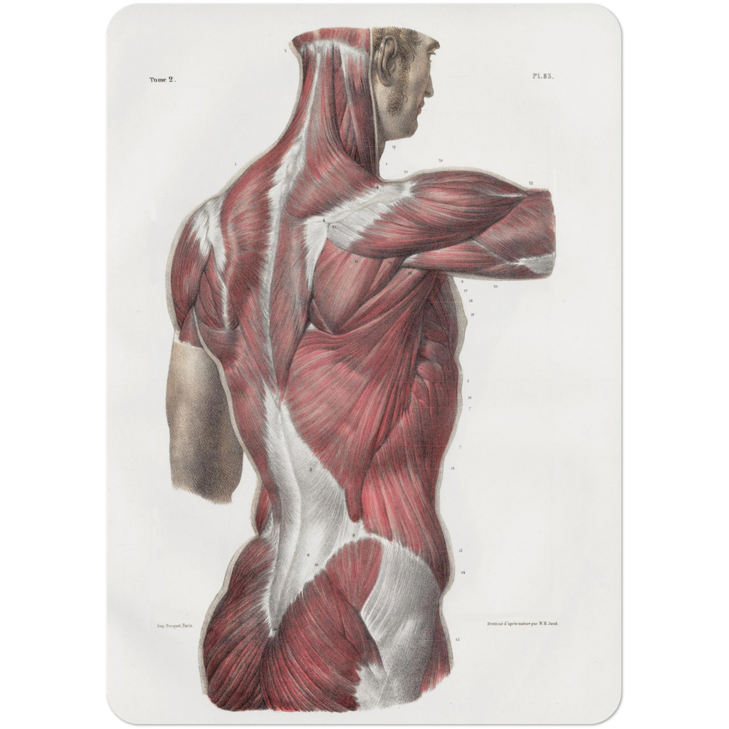 6acfe5ae-7f5f-42e0-b075-911d805ba8c7