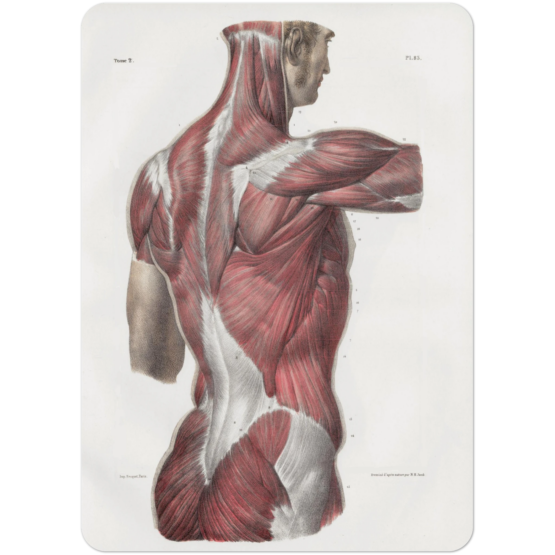 6acfe5ae-7f5f-42e0-b075-911d805ba8c7