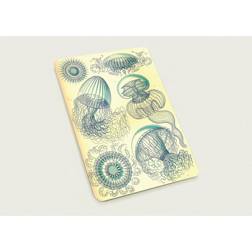 70d3e2dc-6a50-4f2d-8b82-ff47a5ad17fe