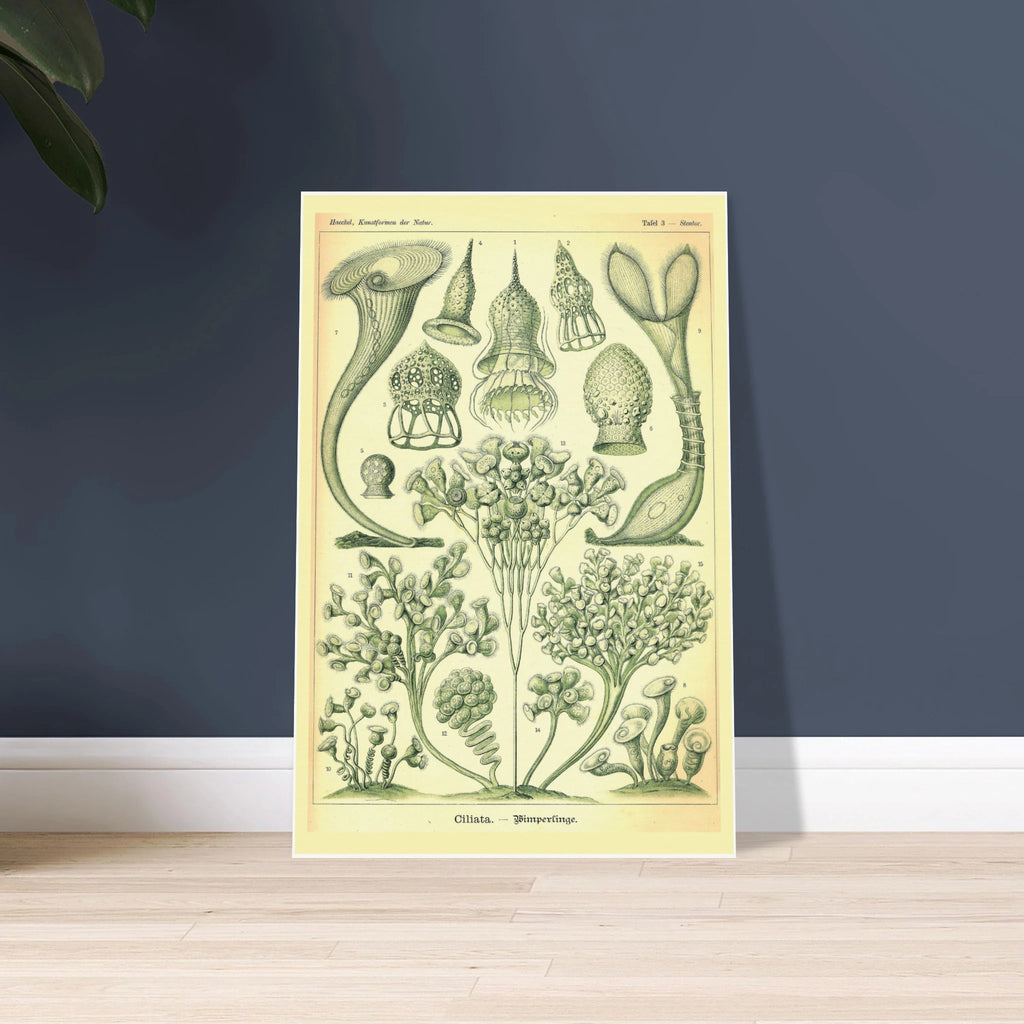 75103c40-6cdf-40f9-a271-fef38a094372