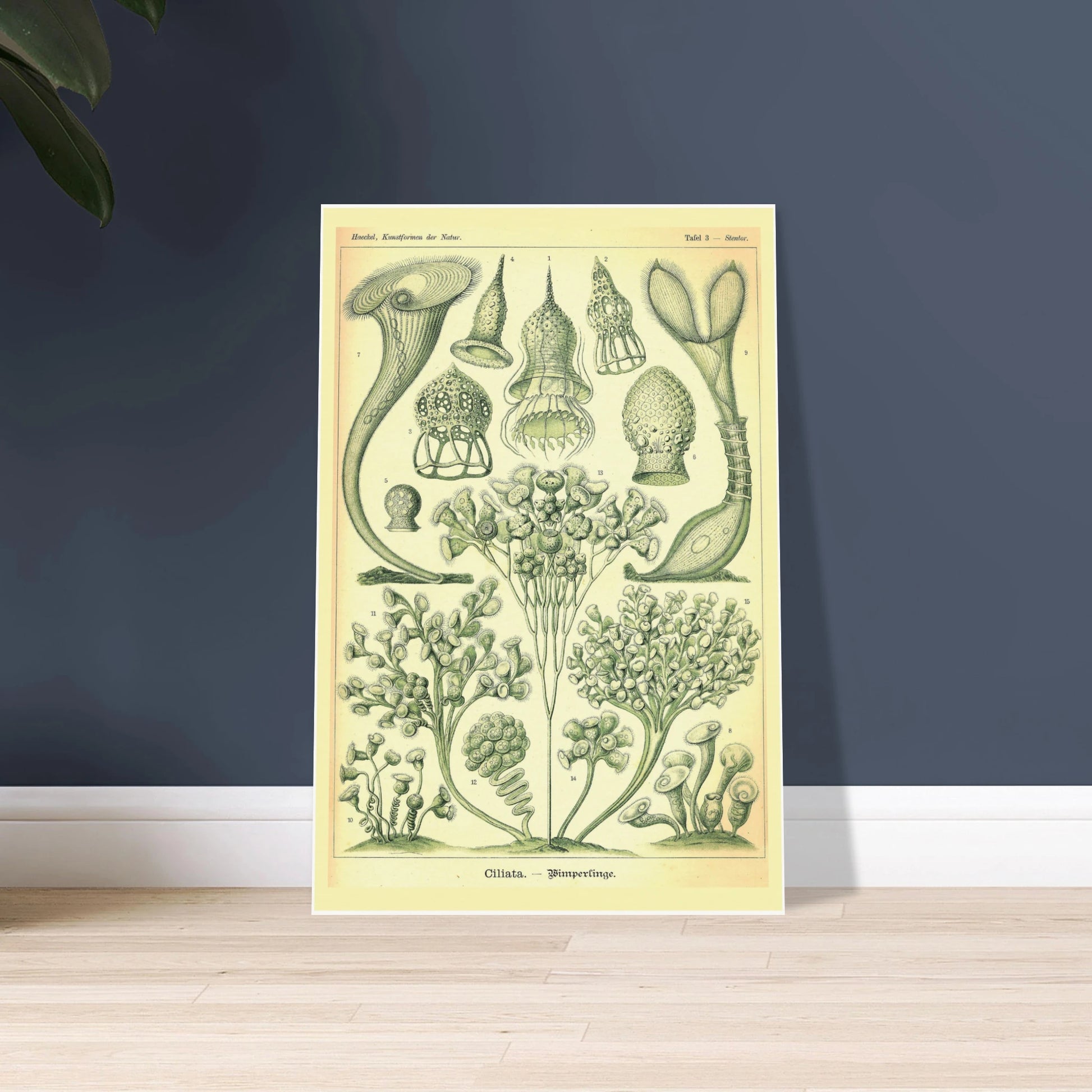 75103c40-6cdf-40f9-a271-fef38a094372